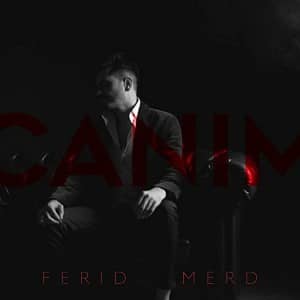 دانلود آهنگ جانیم فرید مرد